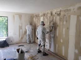 Mold Remediation for Vacation Homes in Swifton, AR